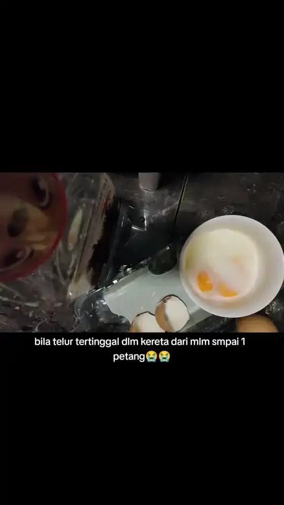 Wanita Ini Lupa Turunkan Telur dari Dalam Mobil Selama 15 Jam, Hasilnya Tak Terduga
