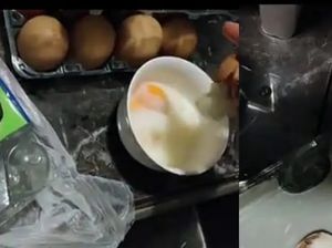 Wanita Ini Lupa Turunkan Telur dari Dalam Mobil Selama 15 Jam, Hasilnya Tak terduga