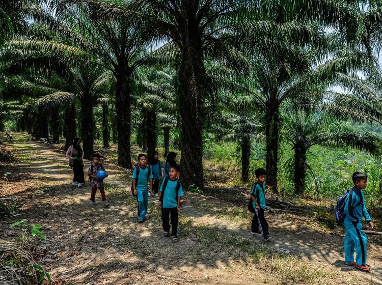 Akses Sulit, Siswa SD di Lebak Jalan 2 Km ke Sekolah