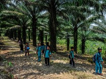 Akses Sulit, Siswa SD di Lebak Jalan 2 Km ke Sekolah