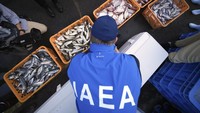 Tim ahli dari Badan Energi Atom Internasional (IAEA) mengunjungi Fukushima untuk misi pengambilan sampel hasil laut.  