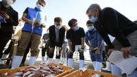 IAEA akan mengumpulkan sampel air laut, sedimen dan ikan dari perairan sekitar reaktor nuklir Fukushima.  