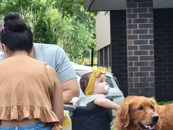 Bahaya Lihat Foto Ini Sekilas Bisa Salah Persepsi