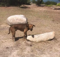 Foto mengecoh mata