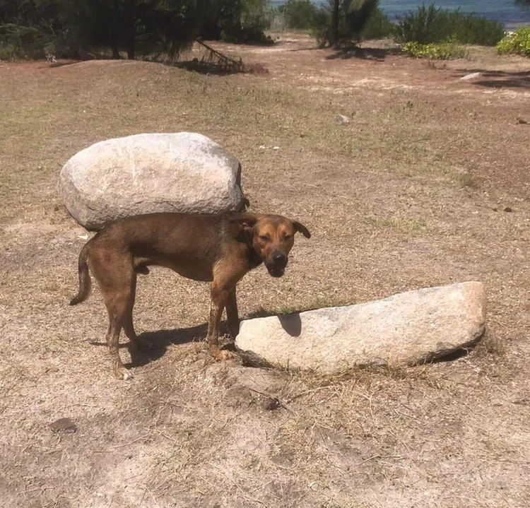 Foto mengecoh mata