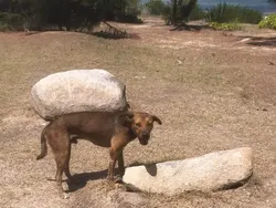 Bahaya Lihat Foto Ini Sekilas Bisa Salah Persepsi