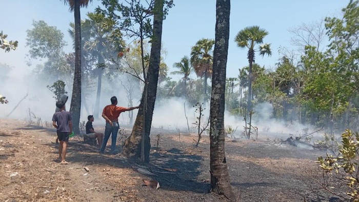 Kebakaran lahan yang terjadi di dekat SDN 4 Kubu, Karangasem, Kamis (19/10/2023). (istimewa)