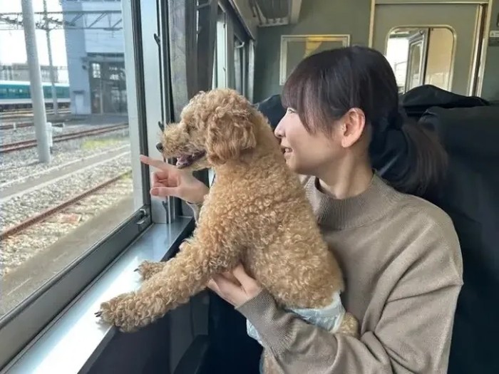 Kereta Jepang untuk penumpang dan anjingnya