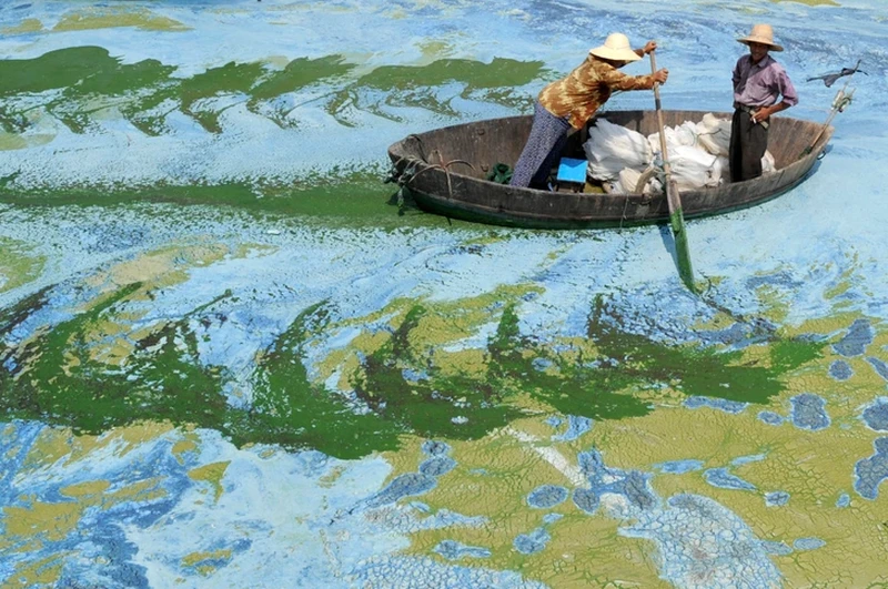 Kumpuan Foto Keren yang Disangka Editan, Padahal Asli