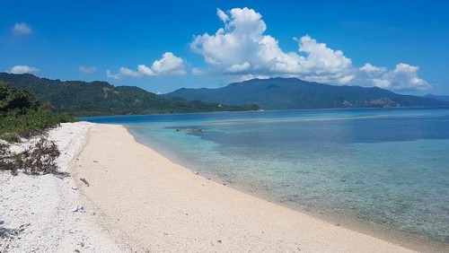 Pantai Enabara terletak di Kecamatan Maurole, Ende, NTT. (Tangkapan layar google earth)