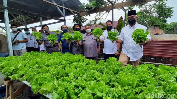 Bupati dan petani Sanipah, Kecamatan Samboja, Kabupaten Kutai Kartanegara, saat panen raya.