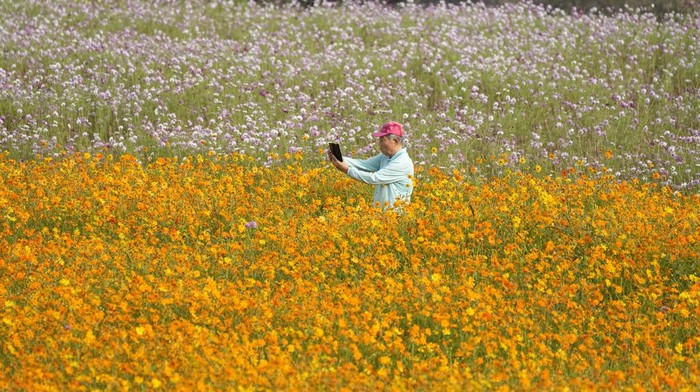 Banyak Warga Korsel Hidup Sebatang Kara Berujung Mati Kesepian
