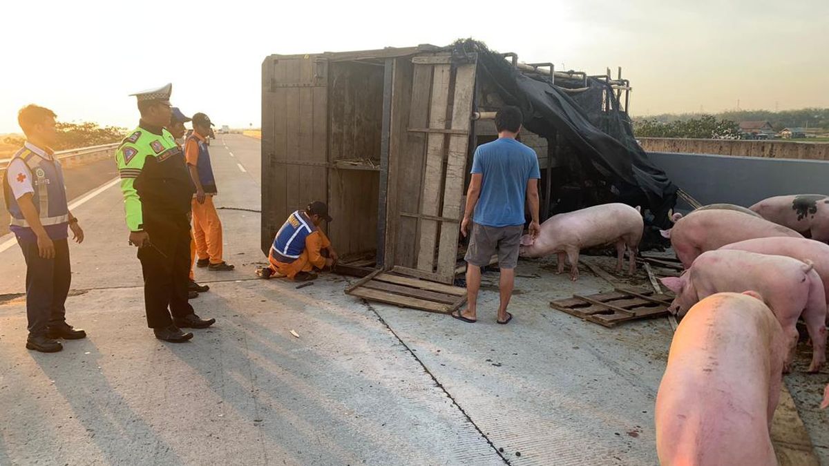 Yaxshi ovqatlangan, yaxshi ishlangan ayollar