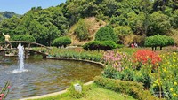 Taman bunga ratu di Doi Inthanon Park.