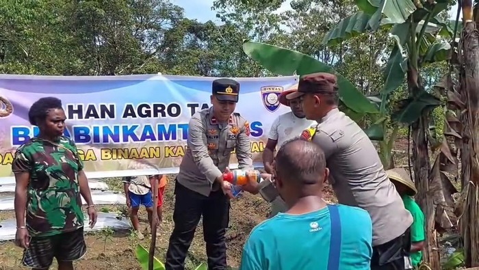 Bripka Wahyu Rianto Liepatty, Bhabinkamtibmas Polsek Salawati, Polres Sorong Kabupaten diusulkan Polda Papua Barat karena dianggap menciptakan inovasi di bidang pertanian, yang berdampak luas untuk warga binaannya.