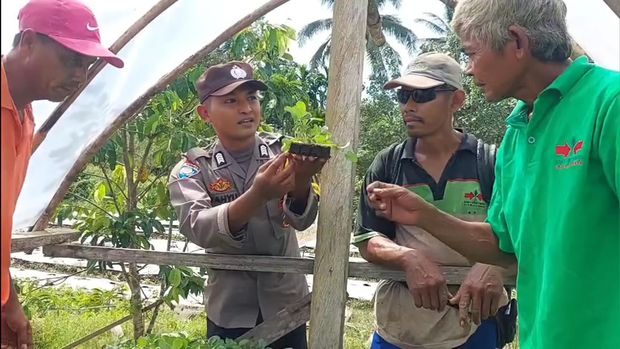 Bripka Wahyu Rianto Liepatty, Bhabinkamtibmas Polsek Salawati, Polres Sorong Kabupaten diusulkan Polda Papua Barat karena dianggap menciptakan inovasi di bidang pertanian, yang berdampak luas untuk warga binaannya.