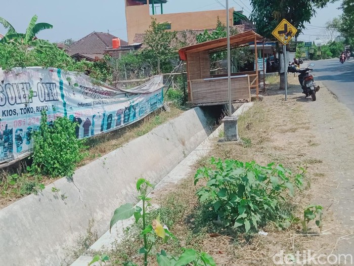 Calon lokasi rest area Desa Plosowangi, Kecamatan Cawas, yang urung dibangun, Jumat (20/10/2023).