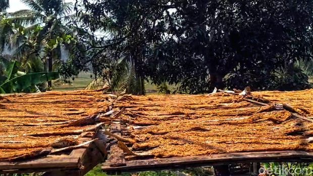 Dendeng Layur Khas Palabuhanratu