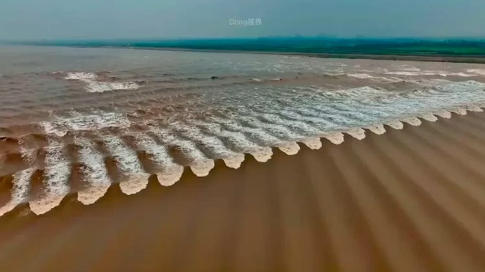 Gelombang pasang sisik ikan di Sungai Qiantang, China
