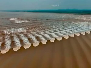 Fenomena Unik Gelombang Sisik Ikan, Cuma Ada di Sungai Qiantang
