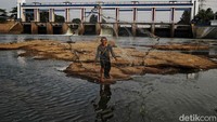 El Nino juga memiliki konsekuensi yang luas bagi produksi pangan, ketersediaan air, dan kesejahteraan manusia serta ekosistem. Fenomena iklim seperti ini dapat mempengaruhi pola cuaca di berbagai wilayah. El Nino dapat menimbulkan dampak yang beragam di seluruh belahan dunia.