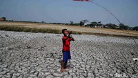 Perlu diketahui Pemerintah Kabupaten Bekasi, Jawa Barat menaikkan status darurat bencana kekeringan dari semula siaga menjadi tanggap bencana, menyusul perluasan wilayah terdampak sekaligus upaya percepatan penanganan bantuan secara lebih masif.