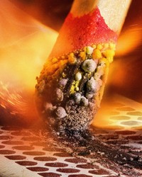 Nikon Small World Photomicrography 2023