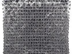 Karya Juara Kompetisi Dunia Kecil Nikon 2023 Bikin Tercengang