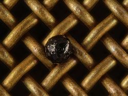 Karya Juara Kompetisi Dunia Kecil Nikon 2023 Bikin Tercengang