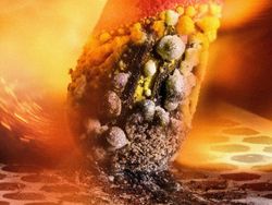 Karya Juara Kompetisi Dunia Kecil Nikon 2023 Bikin Tercengang