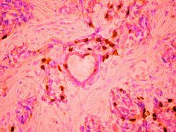 Karya Juara Kompetisi Dunia Kecil Nikon 2023 Bikin Tercengang