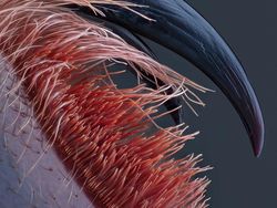 Karya Juara Kompetisi Dunia Kecil Nikon 2023 Bikin Tercengang