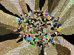 Karya Juara Kompetisi Dunia Kecil Nikon 2023 Bikin Tercengang