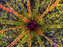 Karya Juara Kompetisi Dunia Kecil Nikon 2023 Bikin Tercengang