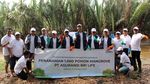 Penanaman Mangrove untuk Dukung Konservasi Lingkungan