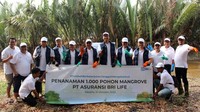 Penanaman mangrov ini juga untuk menyambut HUT ke-36 BRI Life.