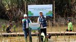 Penanaman Mangrove untuk Dukung Konservasi Lingkungan