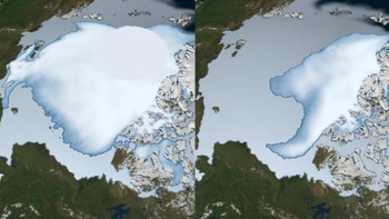 Sebuah studi NASA yang diterbitkan dalam Journal of Climate menunjukkan bahwa es laut Arktik yang tertua dan paling tebal menghilang lebih cepat dibandingkan es yang lebih muda dan lebih tipis di tepi lapisan es terapung di Samudra Arktik. Gambar menunjukkan lapisan es pada tahun 1980 (kiri) dan pada tahun 2012 (kanan). Foto: CBS News