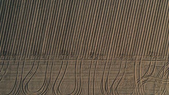 Lahan kering milik seorang petani meninggalkan jejak berupa pola yang ditinggalkan oleh traktor saat cuaca sangat kering pada 27 April 2020, dekat Luckau, Jerman. Tanah di Jerman bagian timur dan selatan saat ini sangat kering. Foto: CBS News