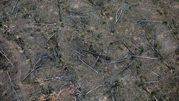 Lahan gundul di Amazon di Brasil. Hutan hujan seperti Amazon mengurangi jumlah karbon dioksida di atmosfer, sehingga memperlambat laju perubahan iklim global. Namun keberadaan paru-paru dunia ini terancam. Kebakaran besar-besaran di wilayah tersebut pada tahun 2019 membakar sekitar 2,24 juta hektar hutan. Foto: CBS News