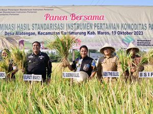 Penyebab Bahtiar Ogah Salurkan Beras Impor 70.000 Ton ke Warga Sulsel