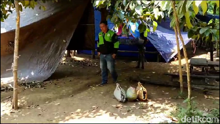 Polisi menggerebek arena judi sabung ayam di Lumajang