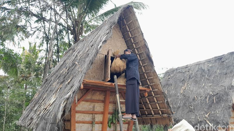 Prosesi Festival Tampaling dan Ngampihan Pare di Desa Cikalong Pangandaran Prosesi Festival Tampaling dan Ngampihan Pare di Desa Cikalong Pangandaran