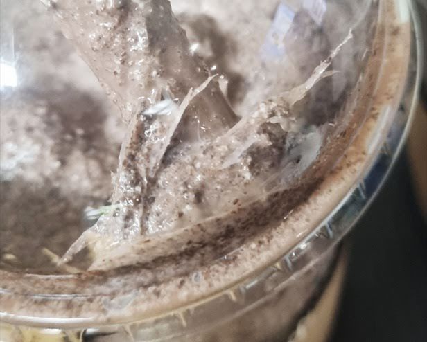 Seram! Wanita Ini Keguguran Usai Minum Smoothies Penuh Plastik