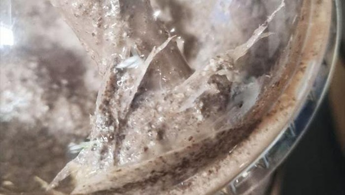 Seram! Wanita Ini Keguguran Usai Minum Smoothies Penuh Plastik