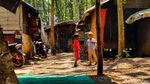 Menengok Kehidupan di Kampung Pemulung TPA Sarimukti