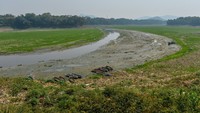 Badan Metereologi, Klimatologi dan Geofisika (BMKG) menyatakan, fenomena alam El Nino pada tahun ini menyebabkan kemarau yang lebih kering dan panjang serta berdampak pada produksi pertanian dan mengeringnya sumber-sumber air.