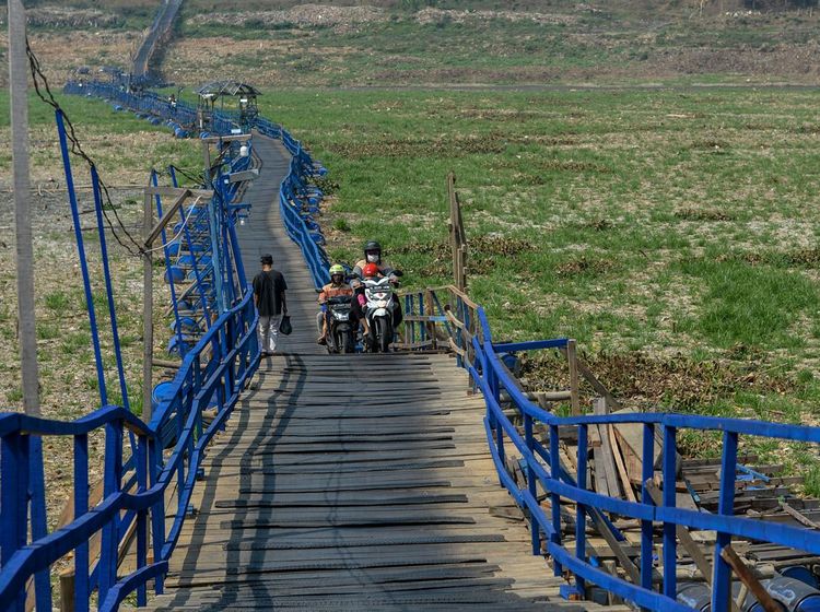 Sungai Citarum Menghijau Gegara Kelamaan Mengering