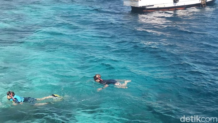 Turis sedang snorkeling di perairan Taman Nasional Komodo. (Ambrosius Ardin)