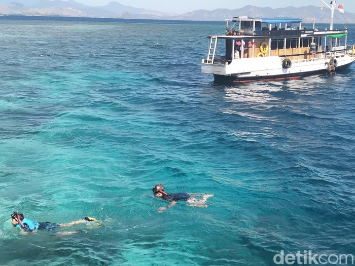 Turis sedang snorkeling di perairan Taman Nasional Komodo. (Ambrosius Ardin)